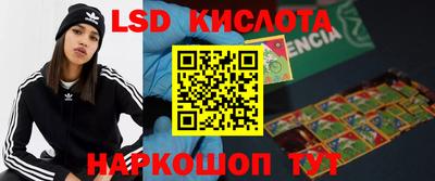 стафф Шахты