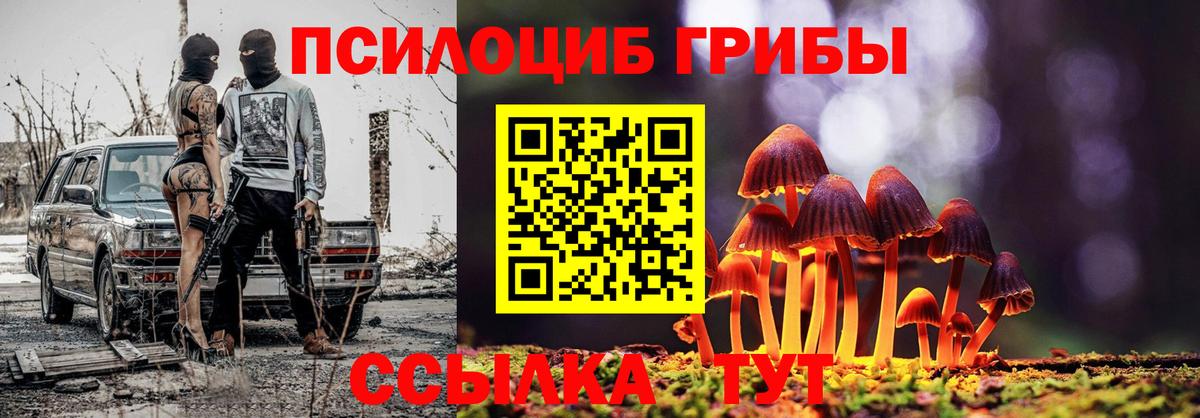 Галлюциногенные грибы Psilocybine cubensis Алушта